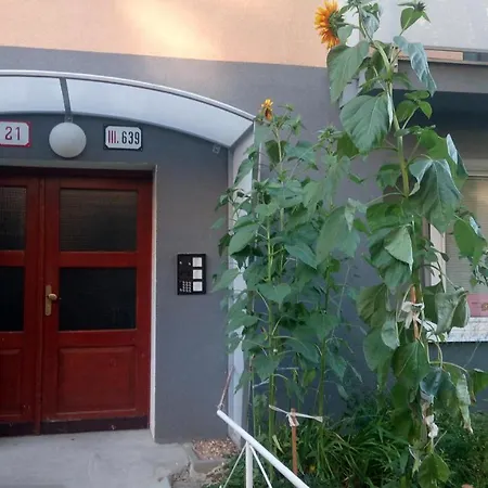 Mier Center 2.